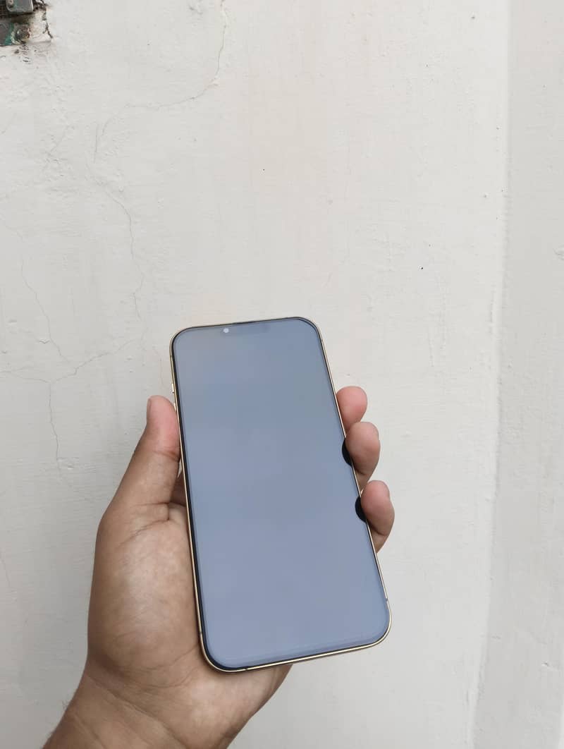 Apple iPhone 13 Pro Max 9