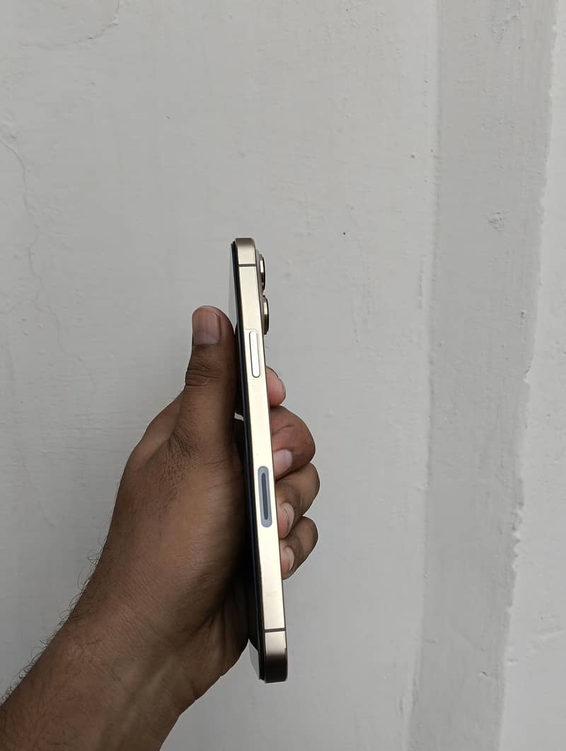 Apple iPhone 13 Pro Max 10