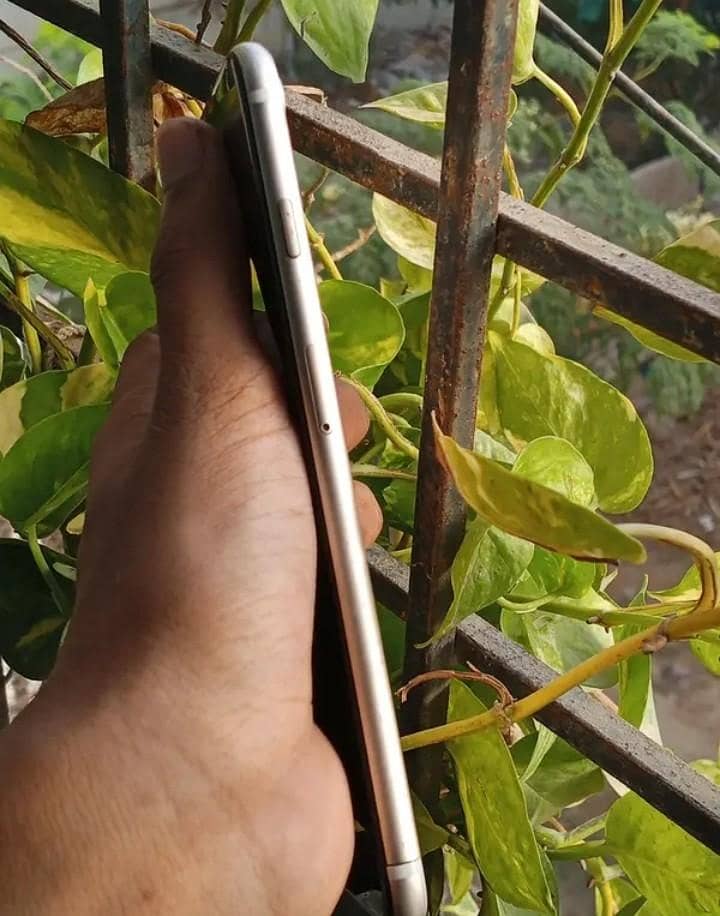 Apple iPhone 7 Plus 1