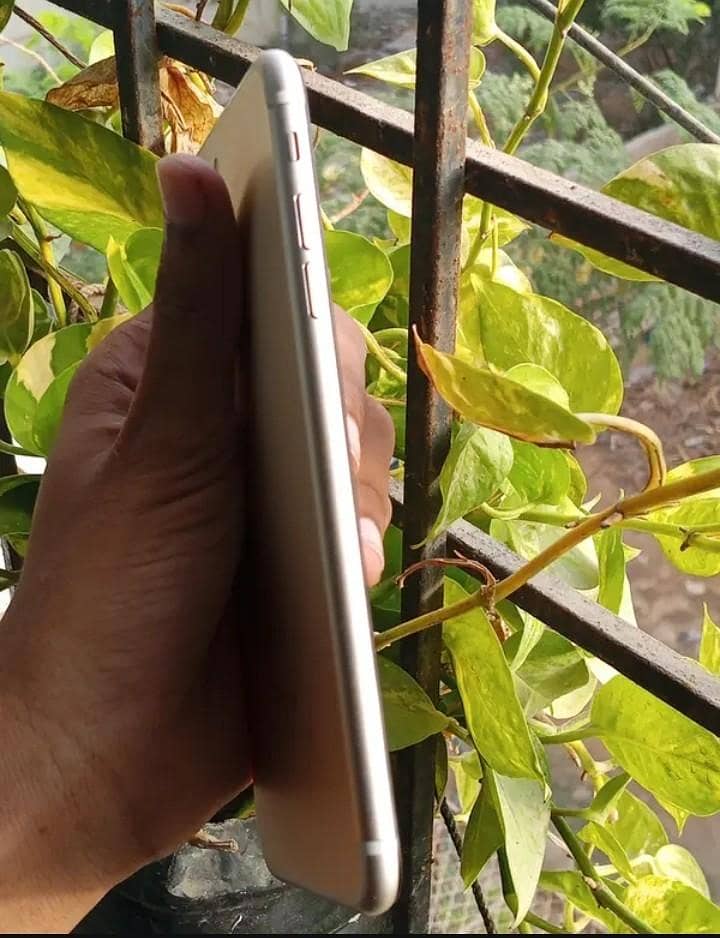 Apple iPhone 7 Plus 2