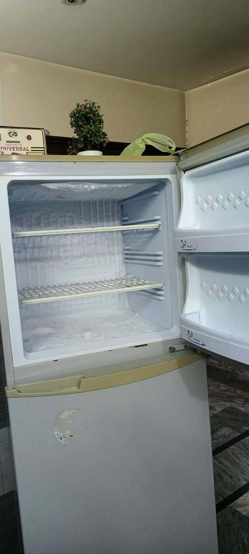Pel refrigerator 2