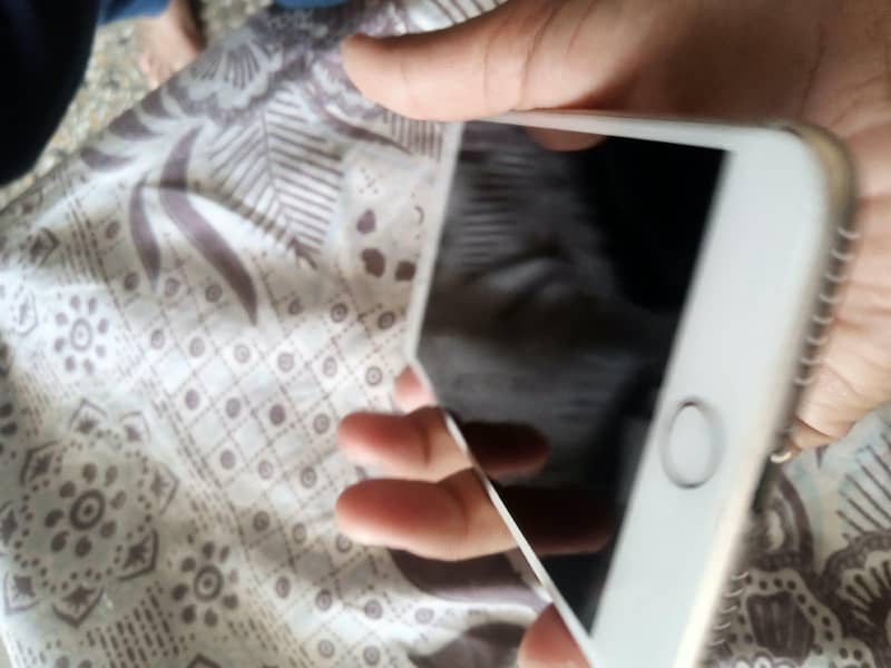 Apple iPhone 7 Plus 3