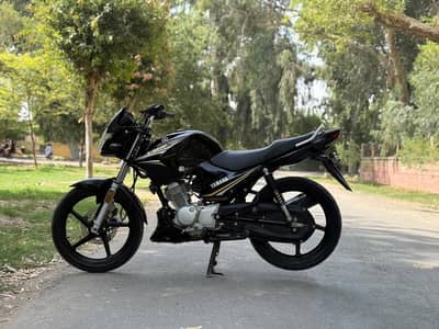 YAMAHA YBR 03313939676
