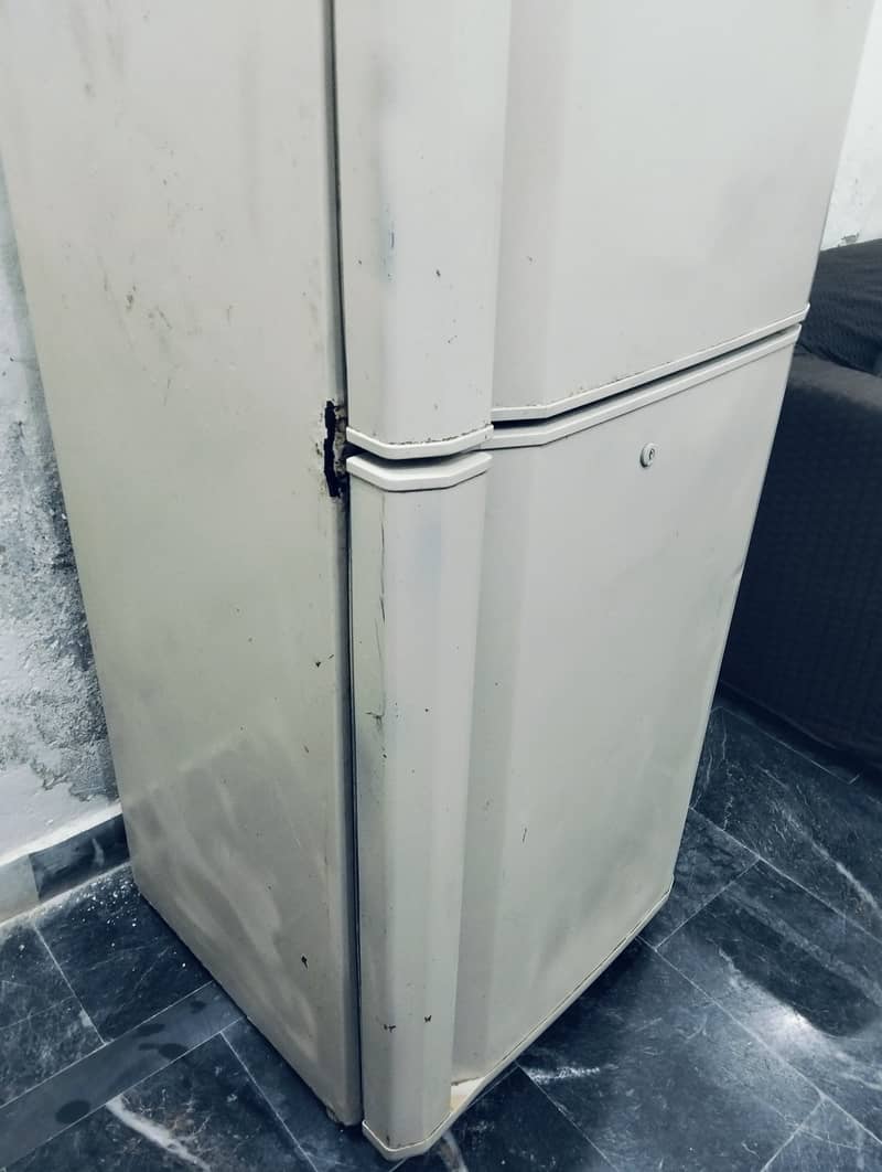 Medium size model 2015 1