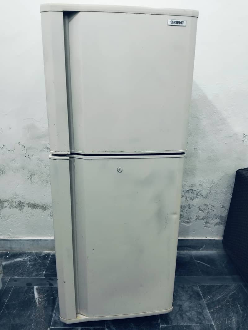 Medium size model 2015 3