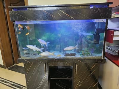 Fish Aquarium 1.5 x 4ft With Brand New Stand