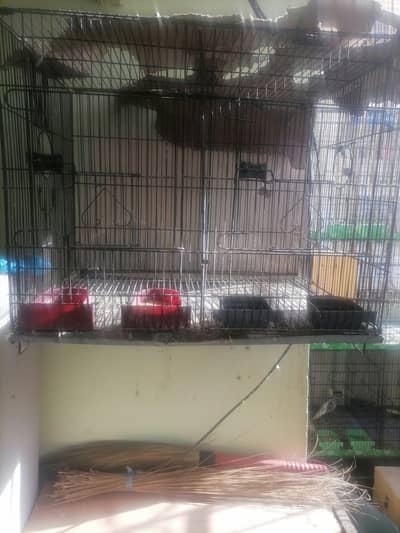 iron cage for cockatiel