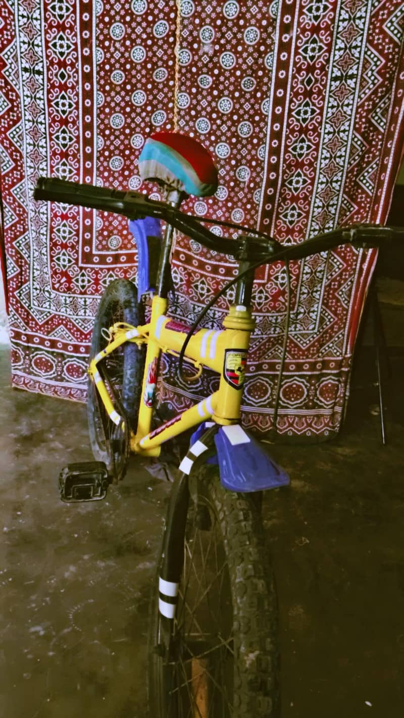 bicycle 1