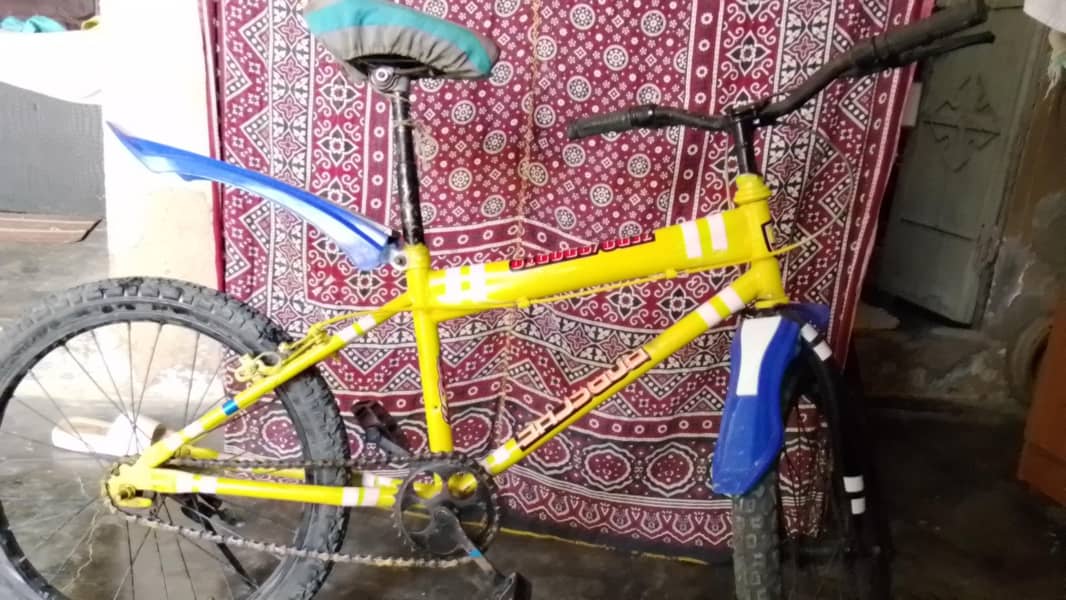 bicycle 2