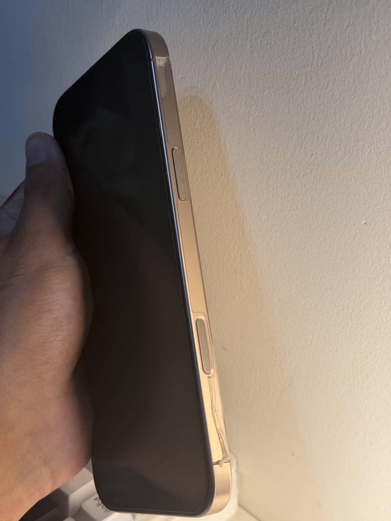 Apple iPhone 16 Pro Max 1
