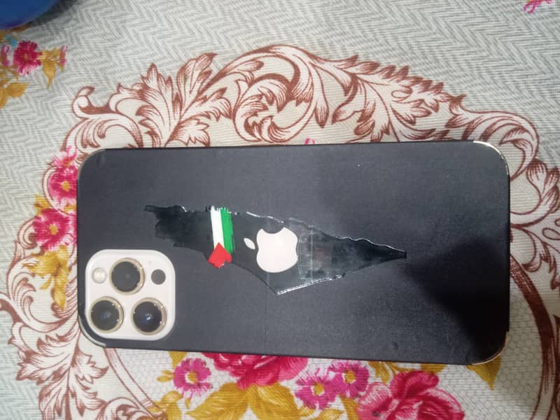 Apple iPhone 12 Pro Max 0
