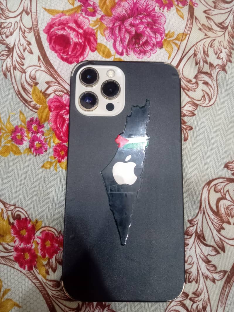 Apple iPhone 12 Pro Max 2