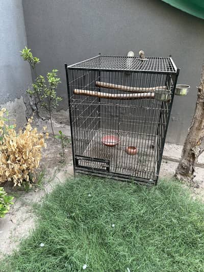 Large Metal Bird Cage with Wooden Perches, Food & Water Bowls – Black
