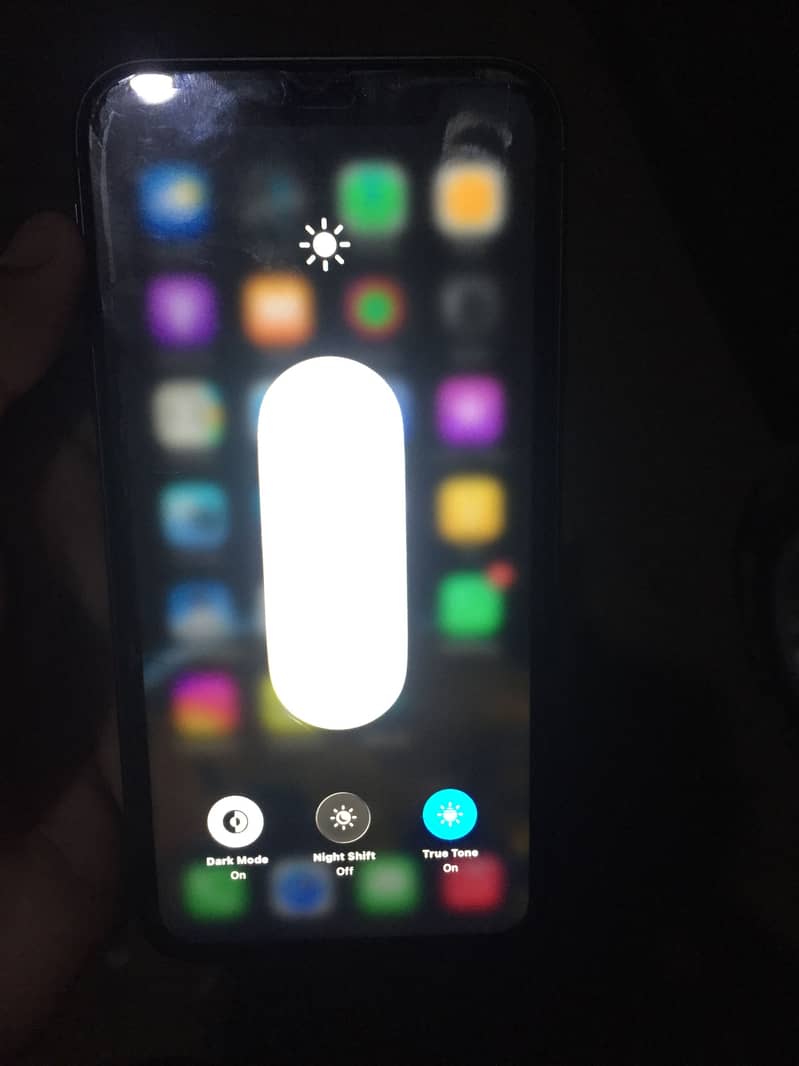 Apple iPhone 11 1