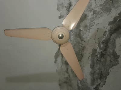 2 ceiling fans in good condition for sale
