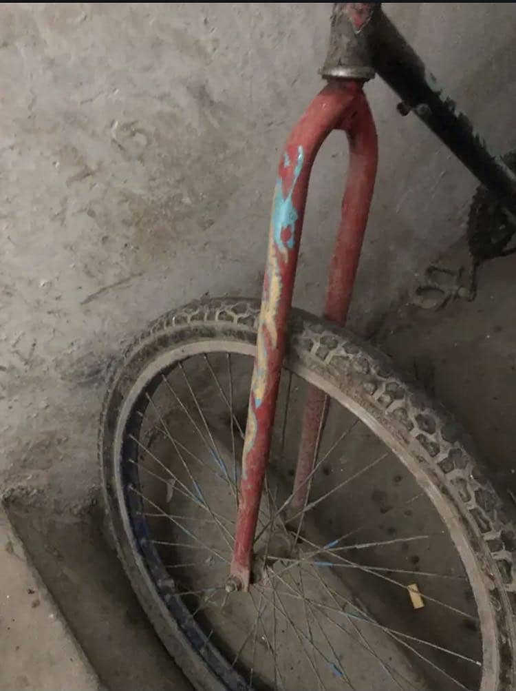 Cycle 0