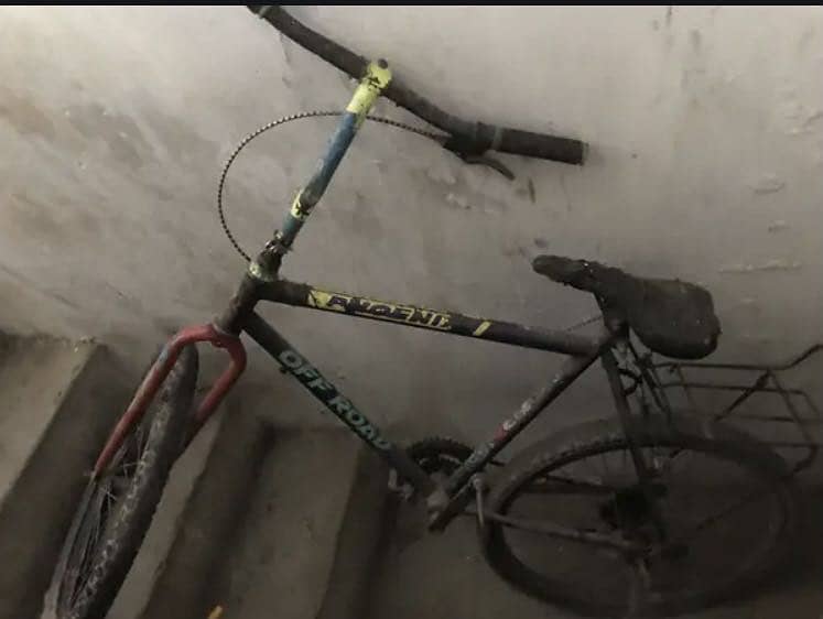 Cycle 2