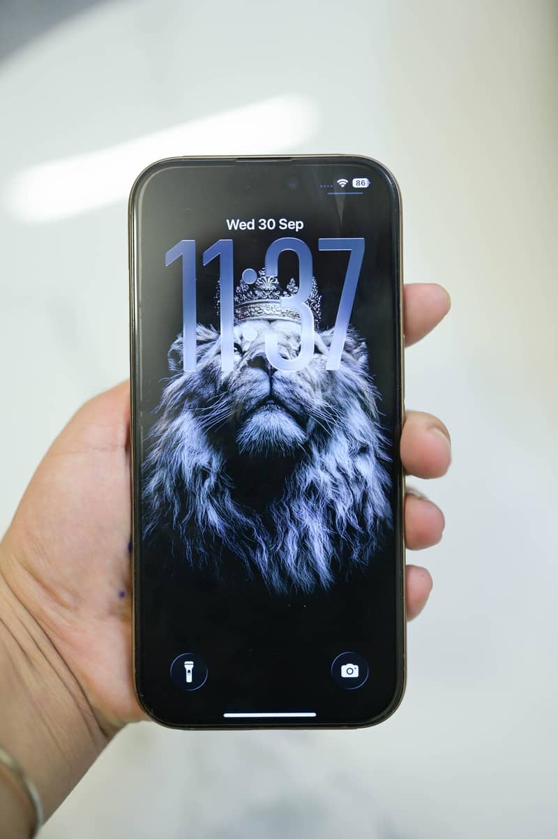 Apple iPhone 16 Pro 8