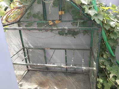 bilkul solid cage hai