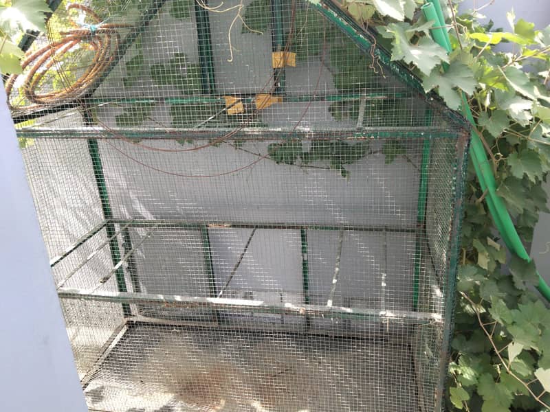 bilkul solid cage hai 0