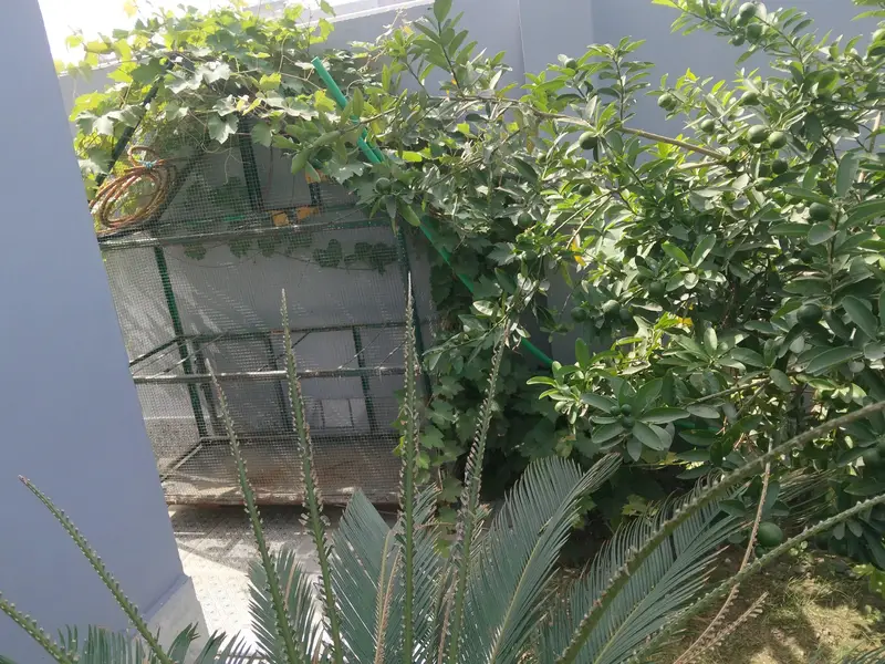 bilkul solid cage hai — photo 2