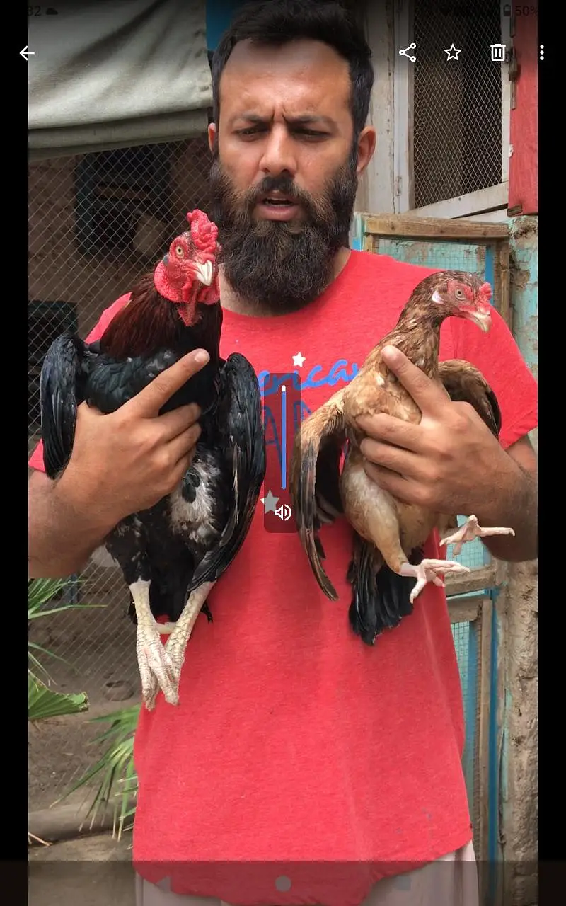 Rossters Farm Multan — photo 3