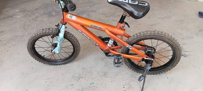 CAMO bicycle