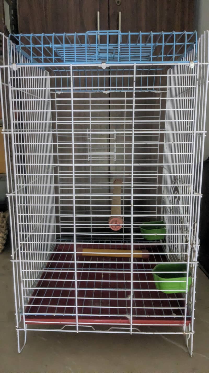 Solid Cage for parrots 2