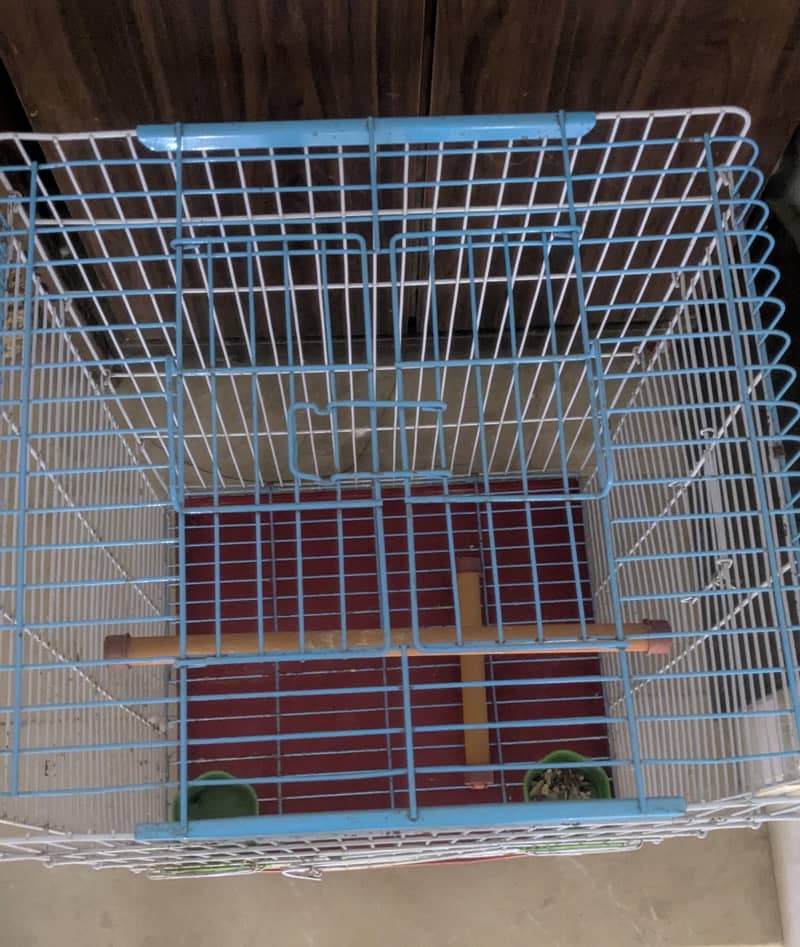Solid Cage for parrots 3