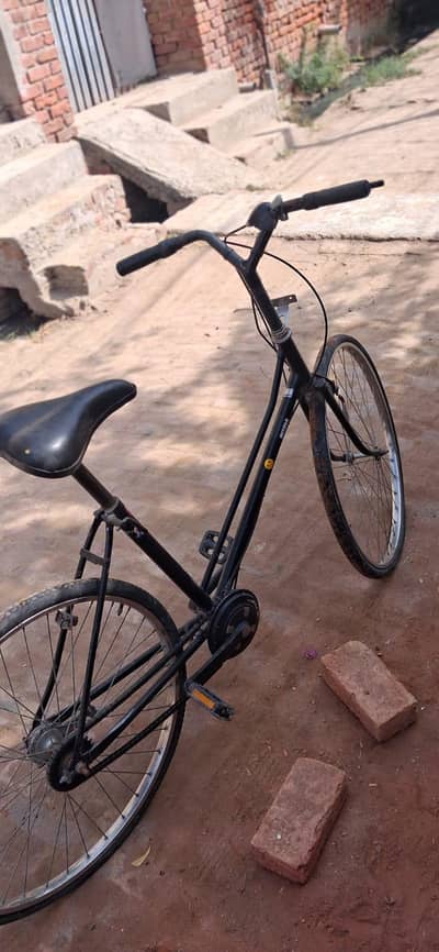 Dubai imported cycle