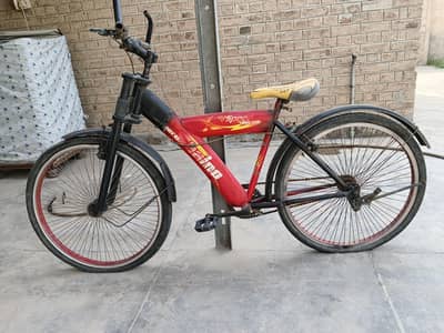 bicycle