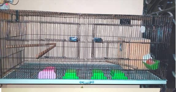 Big Size 2 Portion Cage 2x2x4 Foot - Urgent Sell