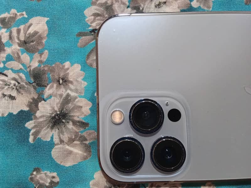 Apple iPhone 13 Pro Max 1