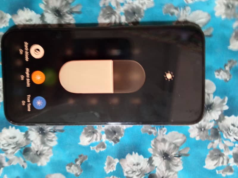 Apple iPhone 13 Pro Max 10