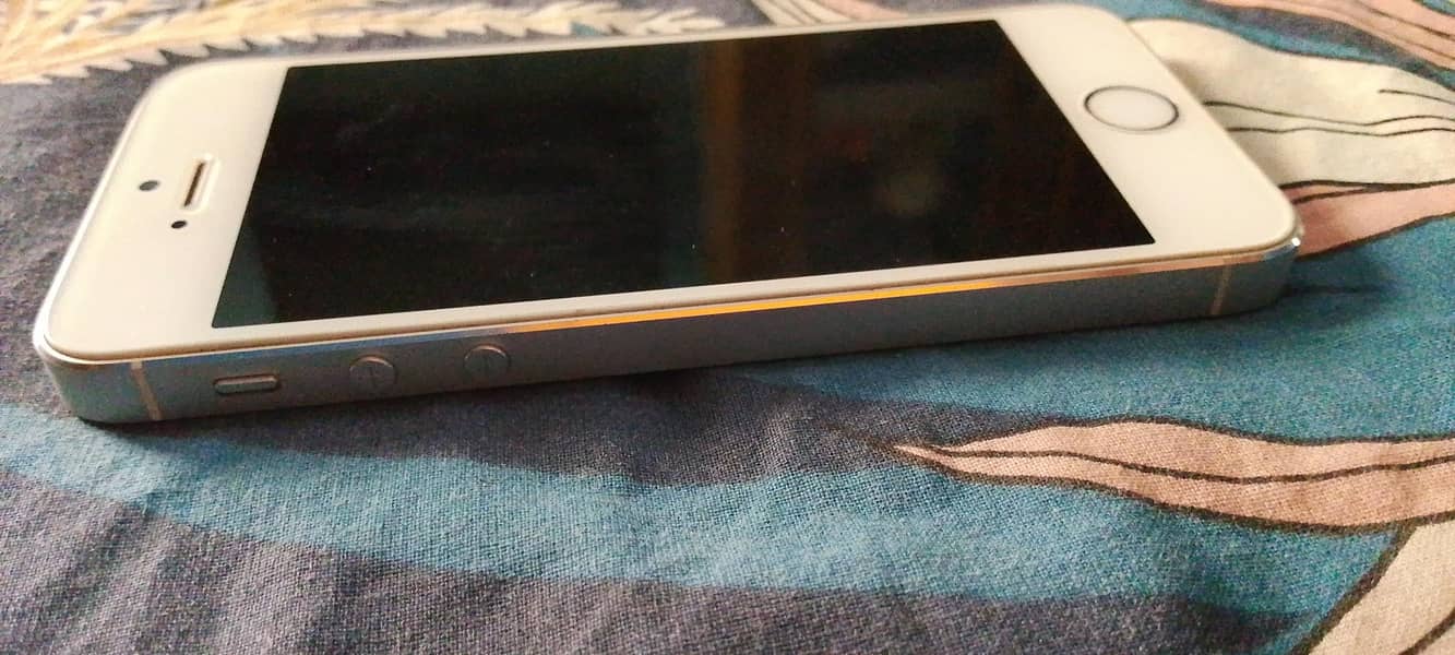 Apple iPhone 5s 2
