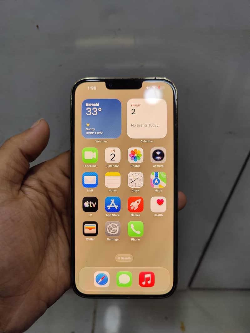 Apple iPhone 13 Pro Max 1