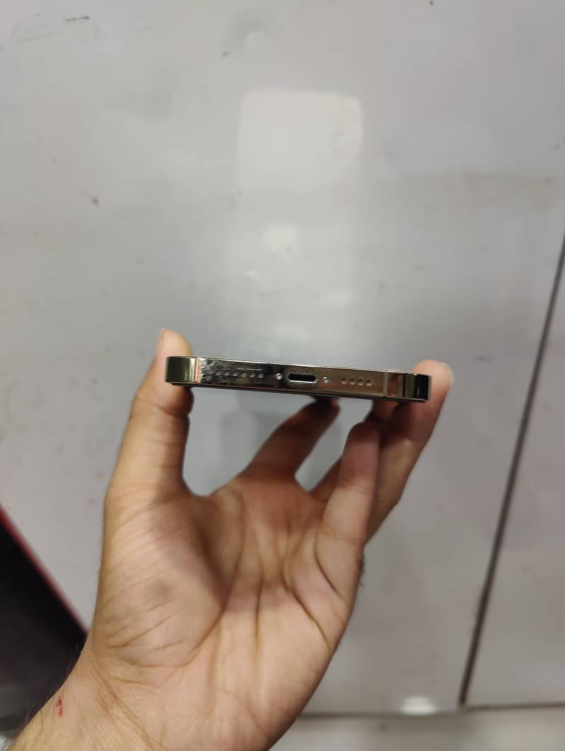 Apple iPhone 13 Pro Max 4