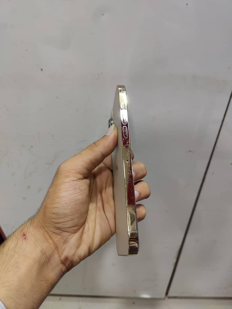 Apple iPhone 13 Pro Max 7