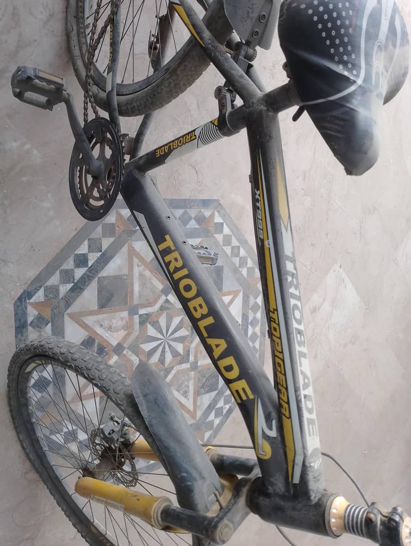 cycle 0