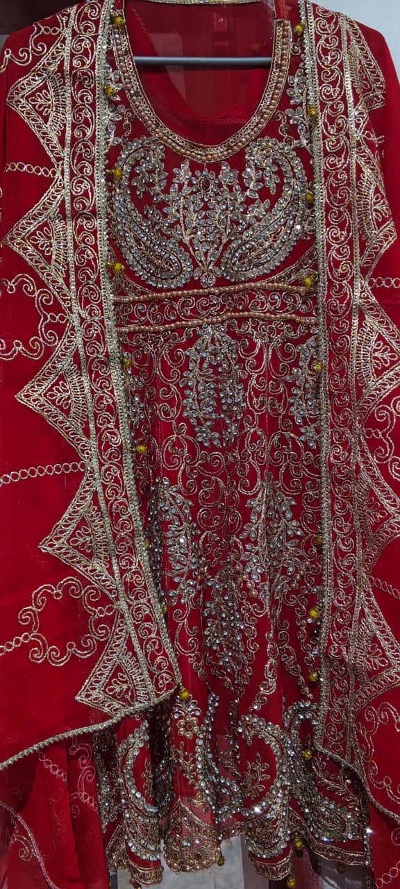 Maxie red colour 0