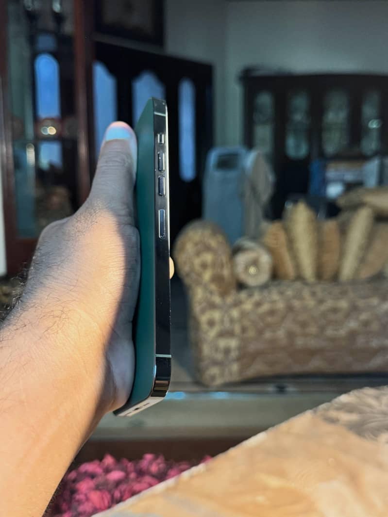 Apple iPhone 13 Pro Max 1