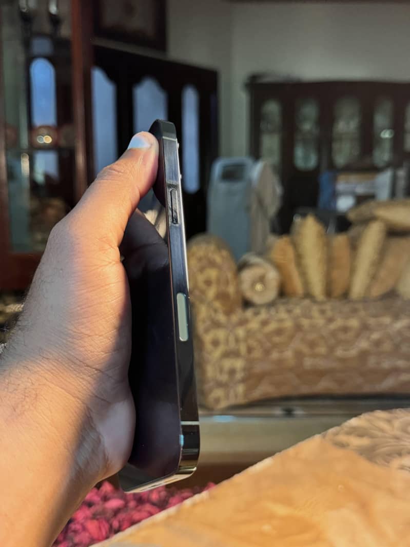 Apple iPhone 13 Pro Max 2