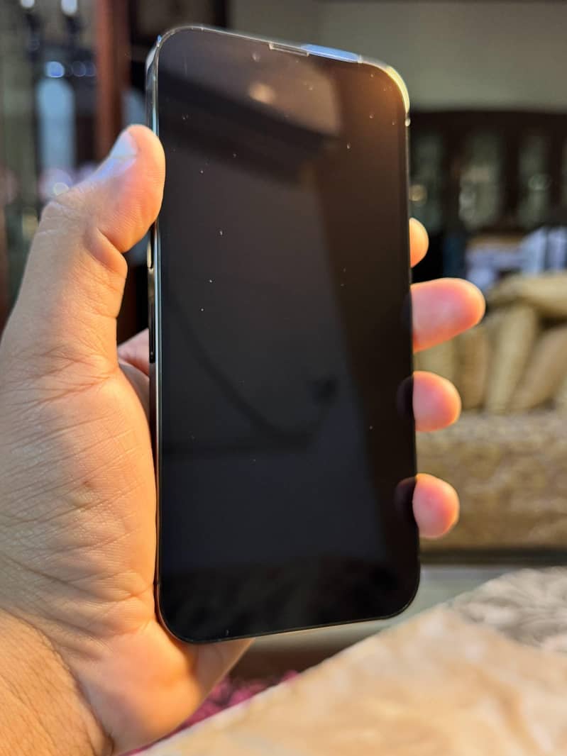 Apple iPhone 13 Pro Max 3