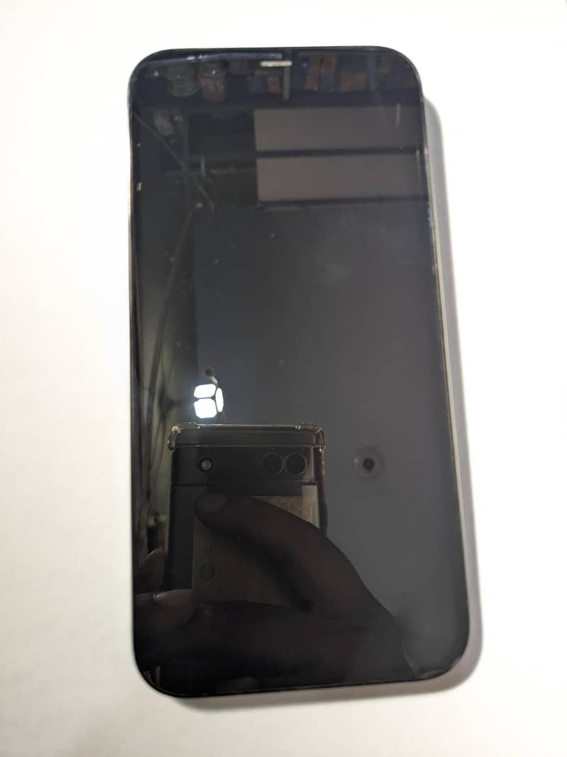 Apple iPhone 12 Pro Max 2