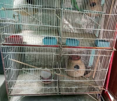 Cage almost fresh high weight