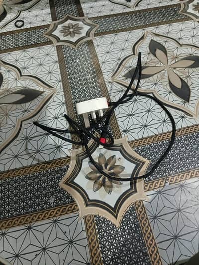 iPhone original charger