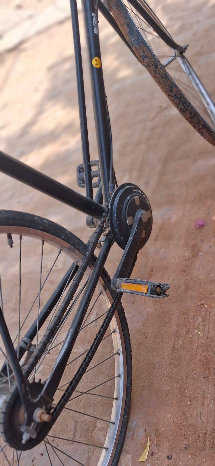 Dubai imported cycle 5
