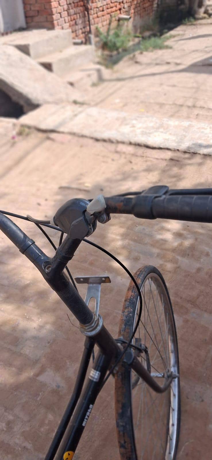 Dubai imported cycle 6