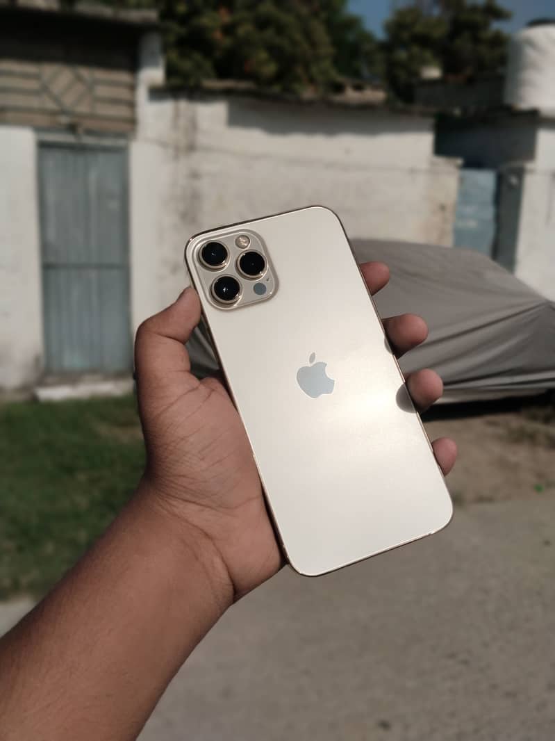 Apple iPhone 12 Pro Max 0