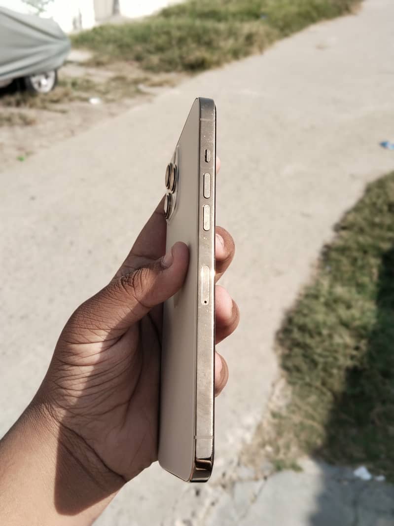 Apple iPhone 12 Pro Max 1